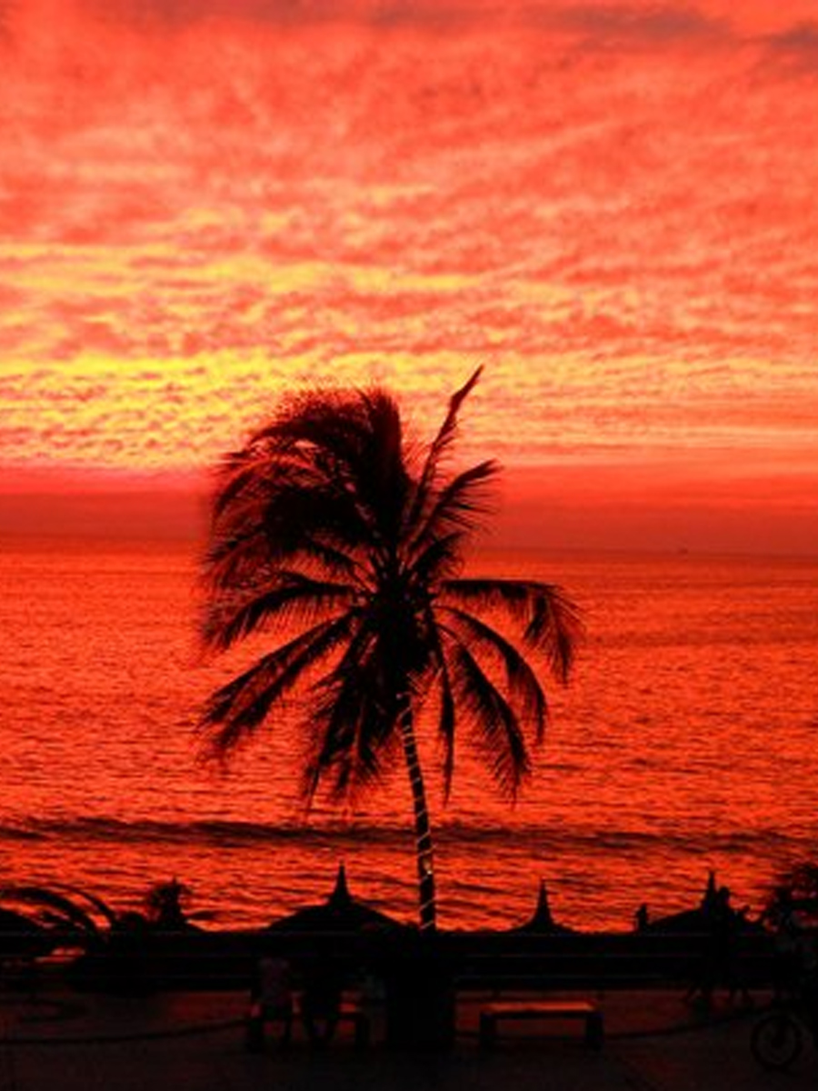 Eclipse solar 2024 en las playas de Mazatlán